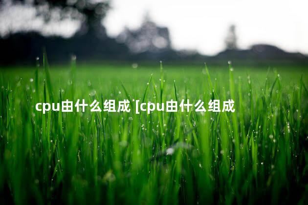 cpu由什么组成 [cpu由什么组成两部分